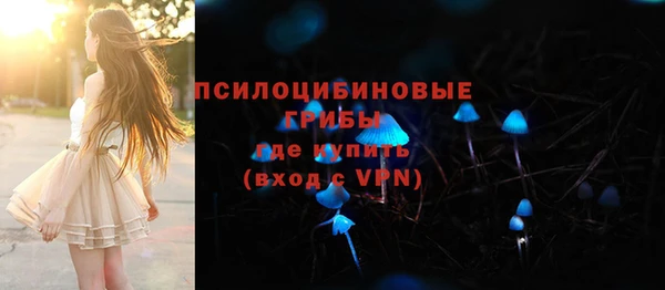 спиды Санкт-Петербург
