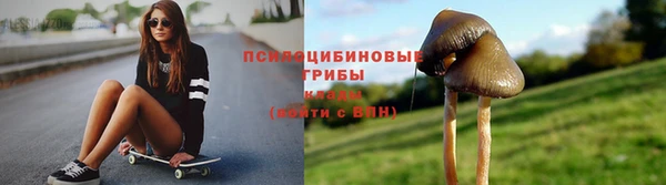 прущий лед Барнаул