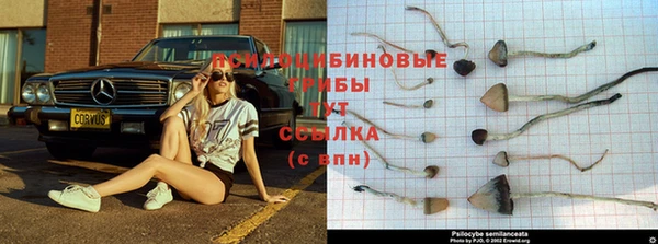 альфа пвп VHQ Ессентукская