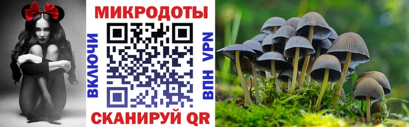 Псилоцибиновые грибы ЛСД  Саратов 